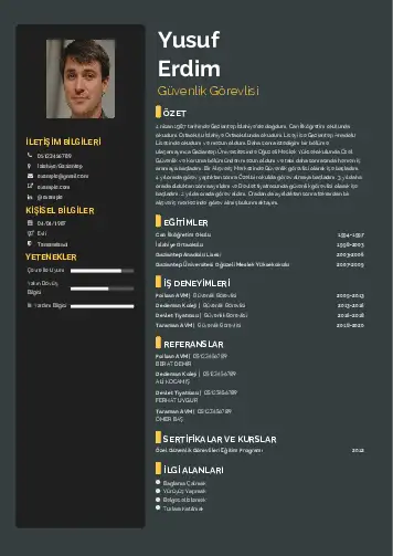 cv indir